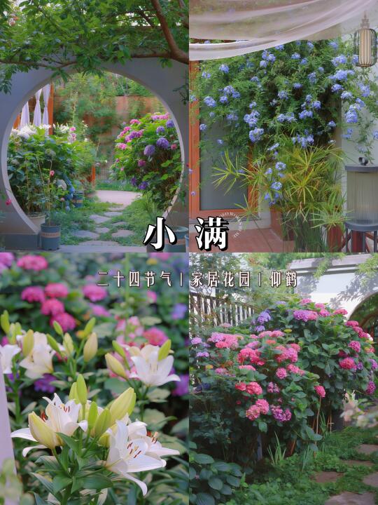 小满｜我的秘密花园🌸🍃