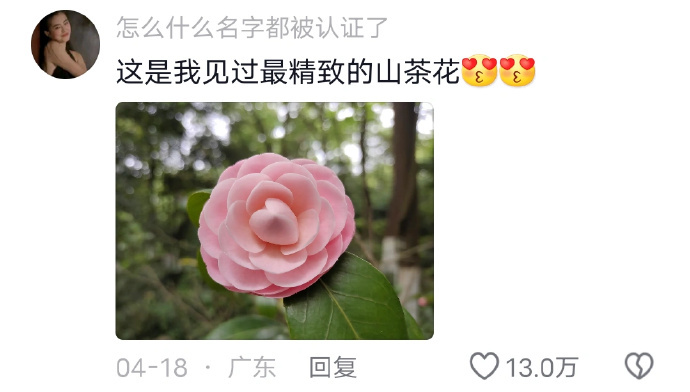 大自然真的好神奇啊 ​​​