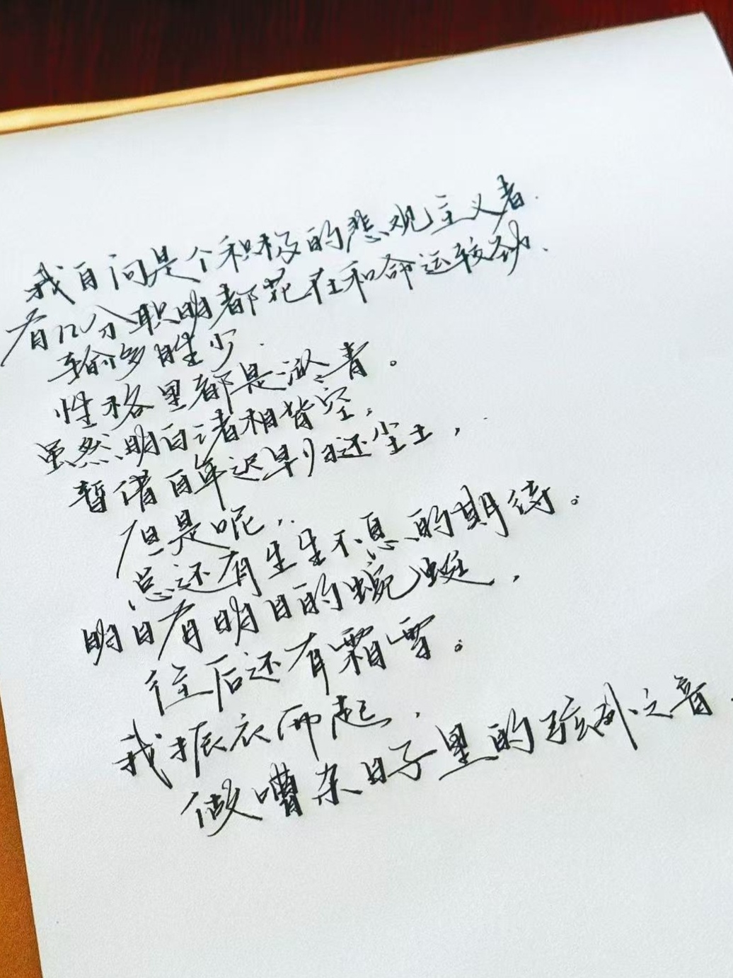 我自问是个积极的悲观主义者，有几分聪明都花在和命运较劲，输多胜少，性格里都是淤青