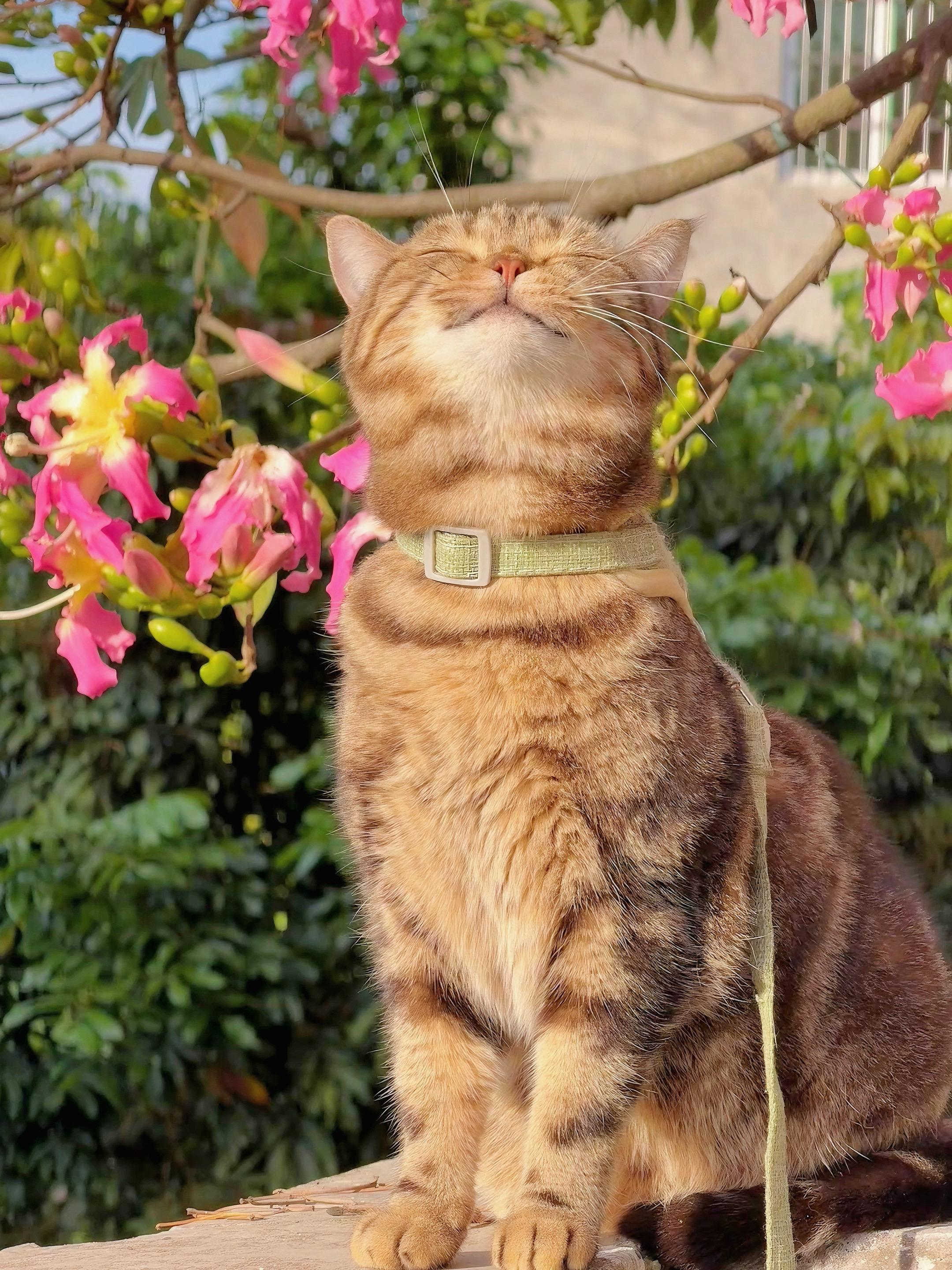 向着太阳出发吧。太治愈了