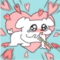 配图就是我此刻的心情