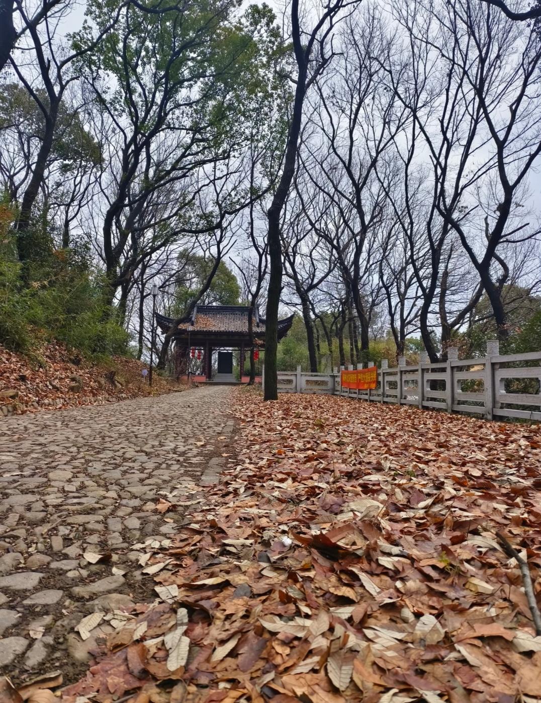 表哥年前轻生走了
十年100多万的存钱，一年不到，炒股加上创业赔光不说还欠网贷1