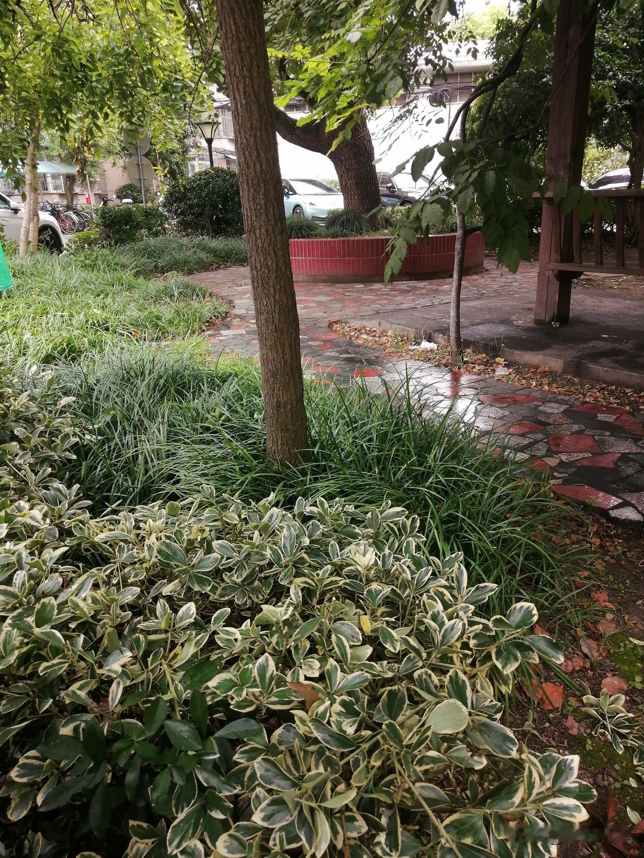 真的不知道这个网友哪来的资料。如果再仔细查一下蒙古国百姓的居住环境和人均寿命等，