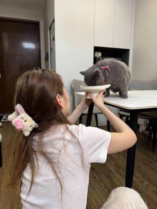 慈母多败咪2.0