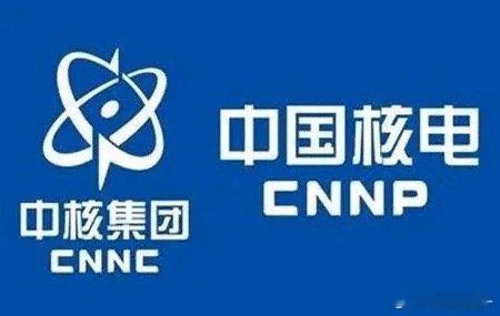 可以多听听卢铁忠两会时的对话，核电站不只有发电，还有供热，供汽，制氢，海水淡化，