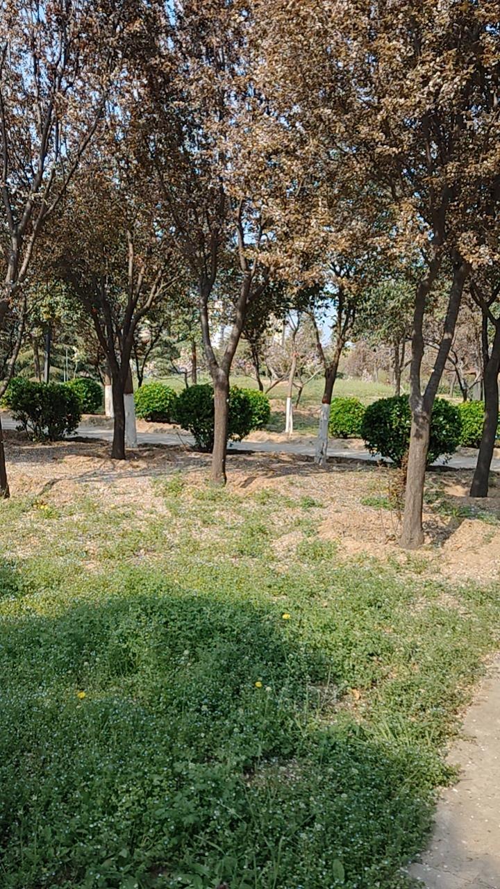 我视世界为无，
草木待我以久。
      ——王之矛《早晨与黄昏》