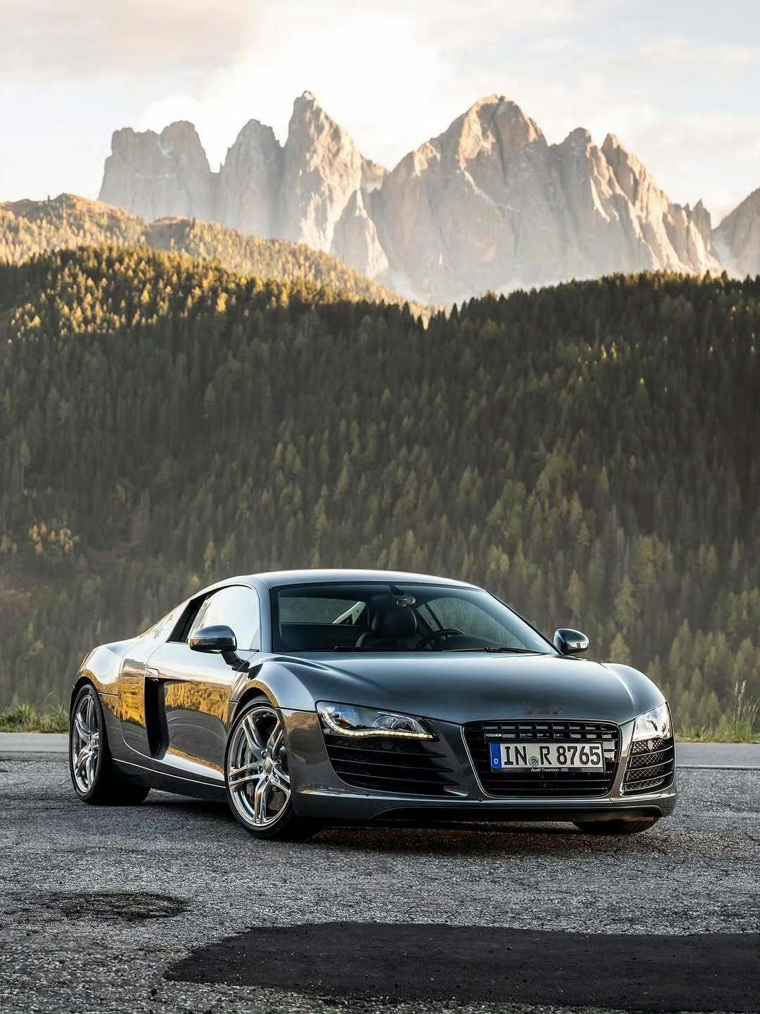 奥迪 R8 V8 Coupé    [色][色] ​​​