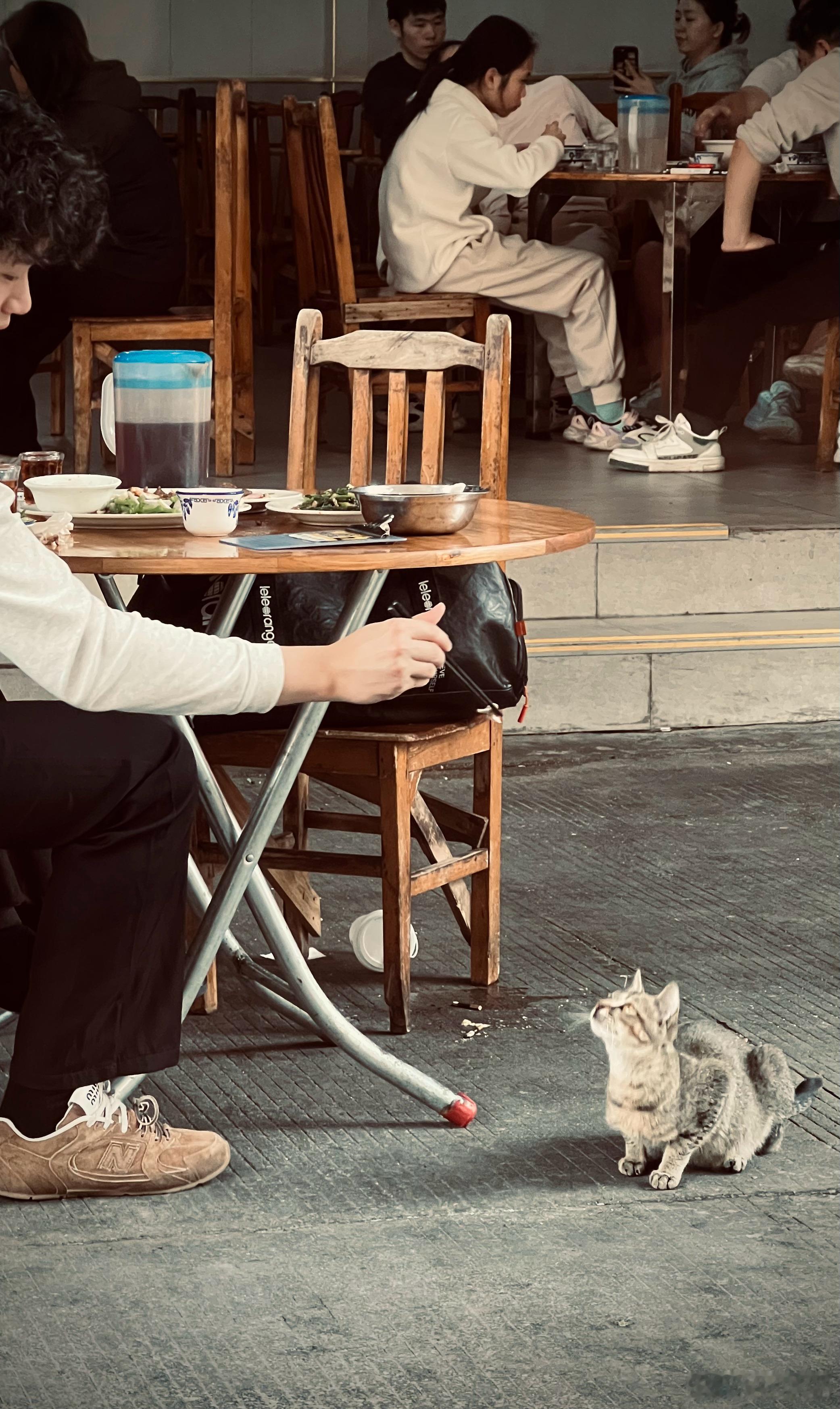 人间有爱春节随手拍