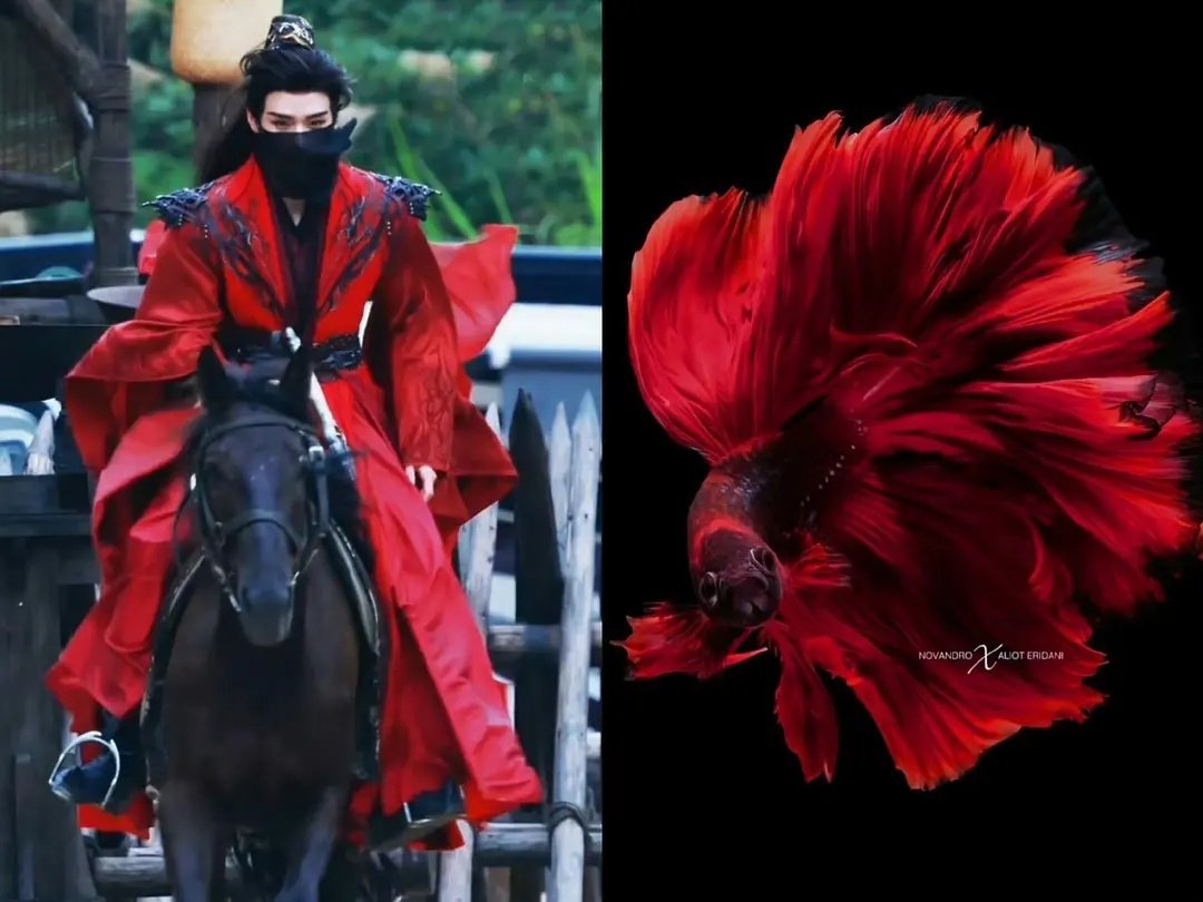 龚俊眉眼一绝 ​​​