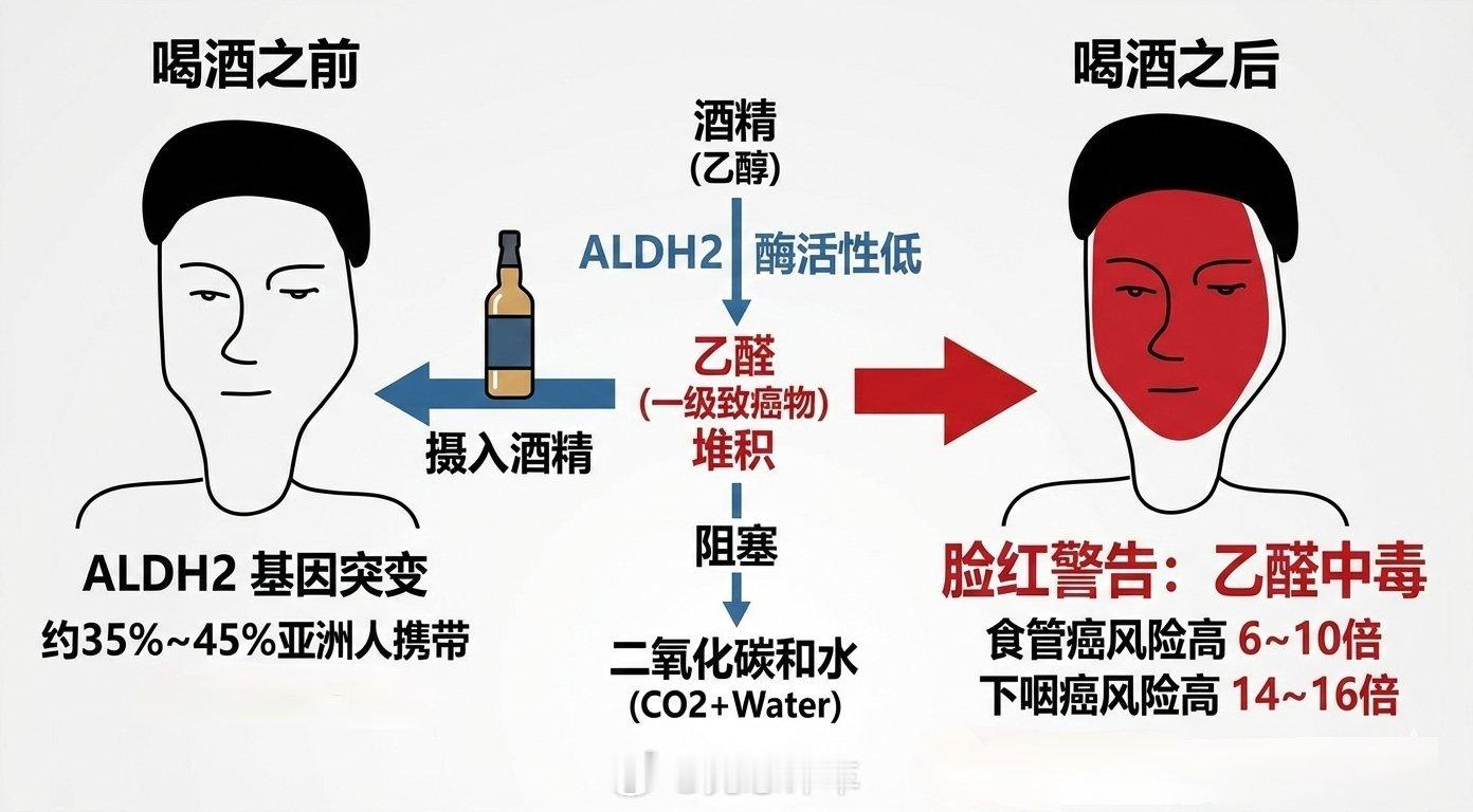 春节「健康科普：红脸基因=致癌警告？千万别再劝喝酒脸红的人了！」如果你是那种“沾