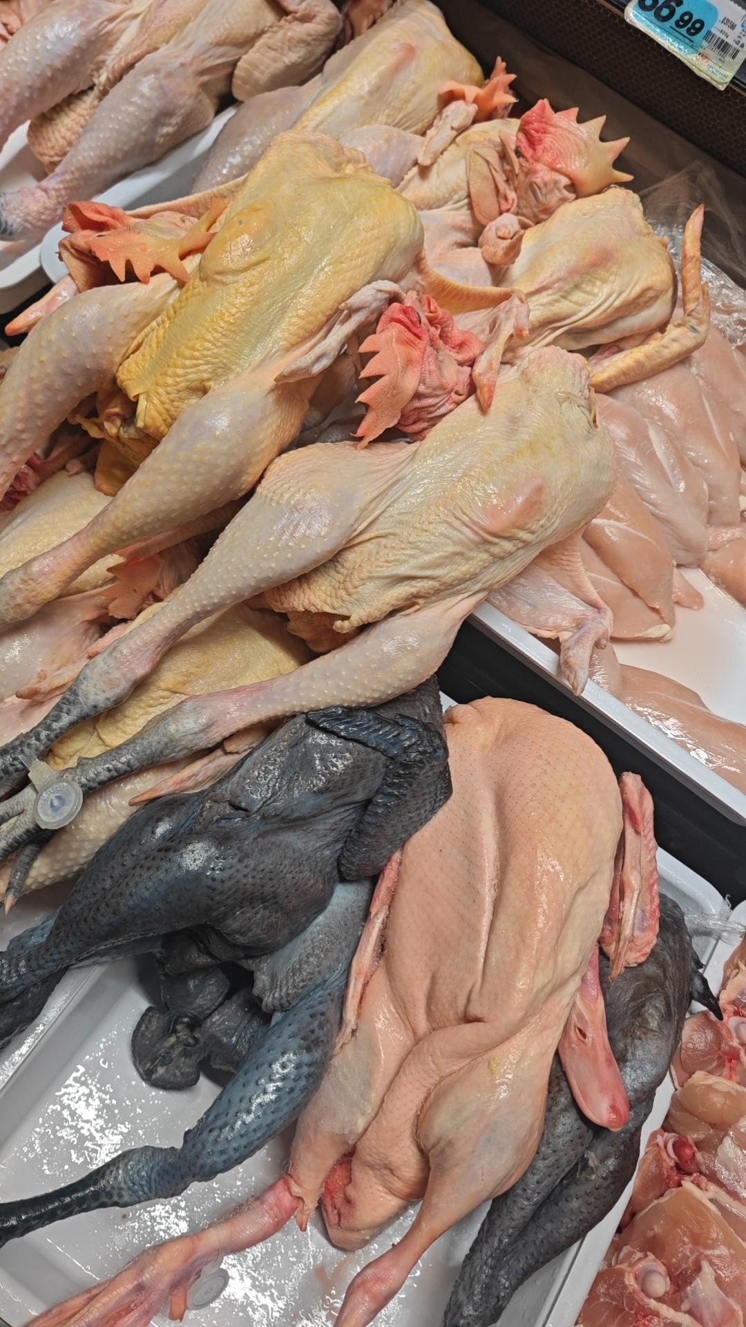 一定要少说话！一定要少说话！话多必失！