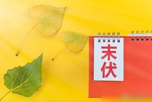 处暑当天还没出伏，2026年这暑气是打算赖到什么时候？
日历上写着8月23日处暑