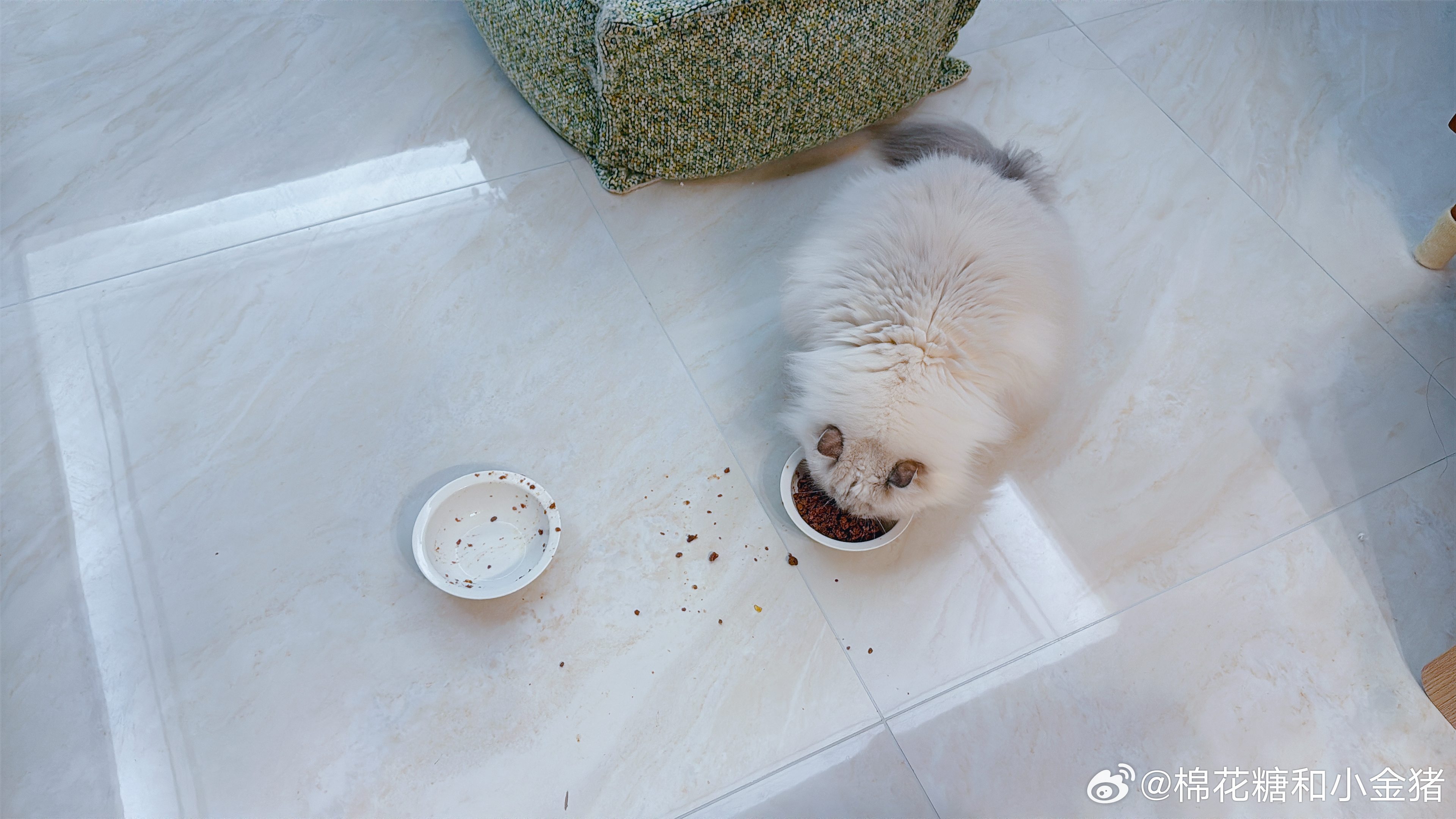 ss：澜澜的剩饭？笑纳了。 