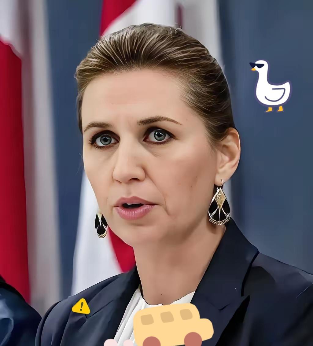 快讯！
 
丹麦突然宣布了。
 
据丹麦方面在11月15日对外披露，作为欧盟轮值