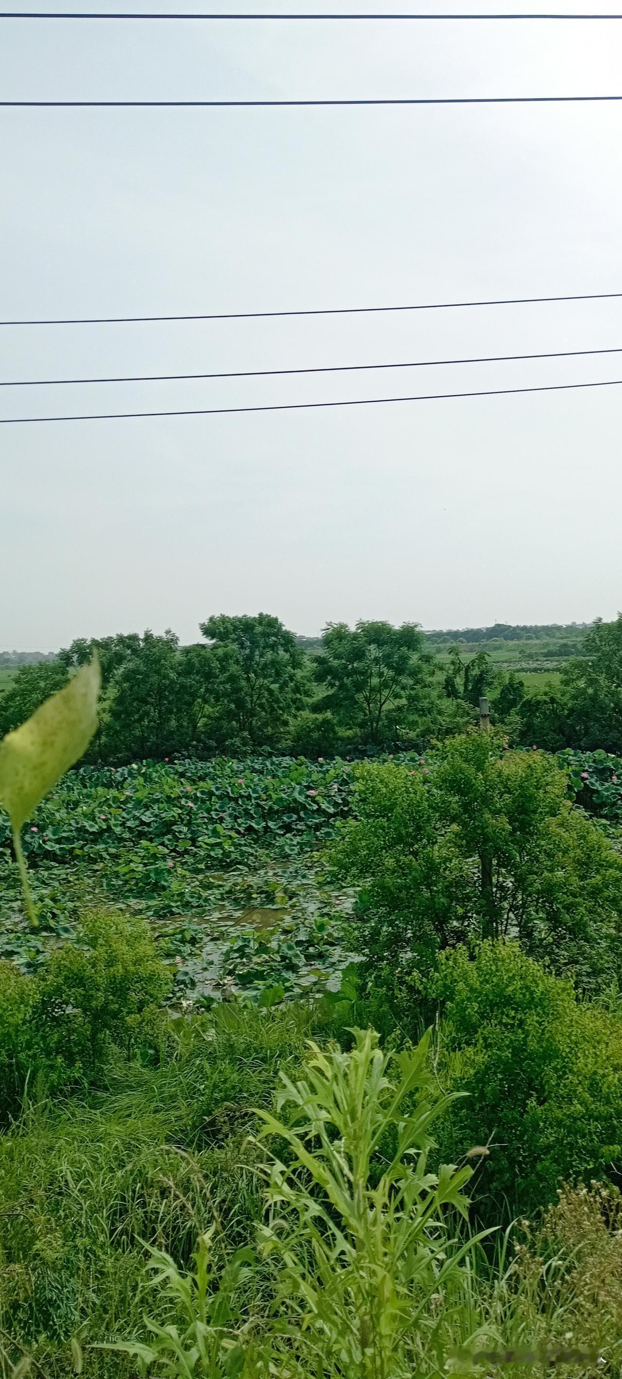 由一段往事勾起的人生感悟。
认识一个人容易，但了解一个人真的很难。无论是虚拟的世