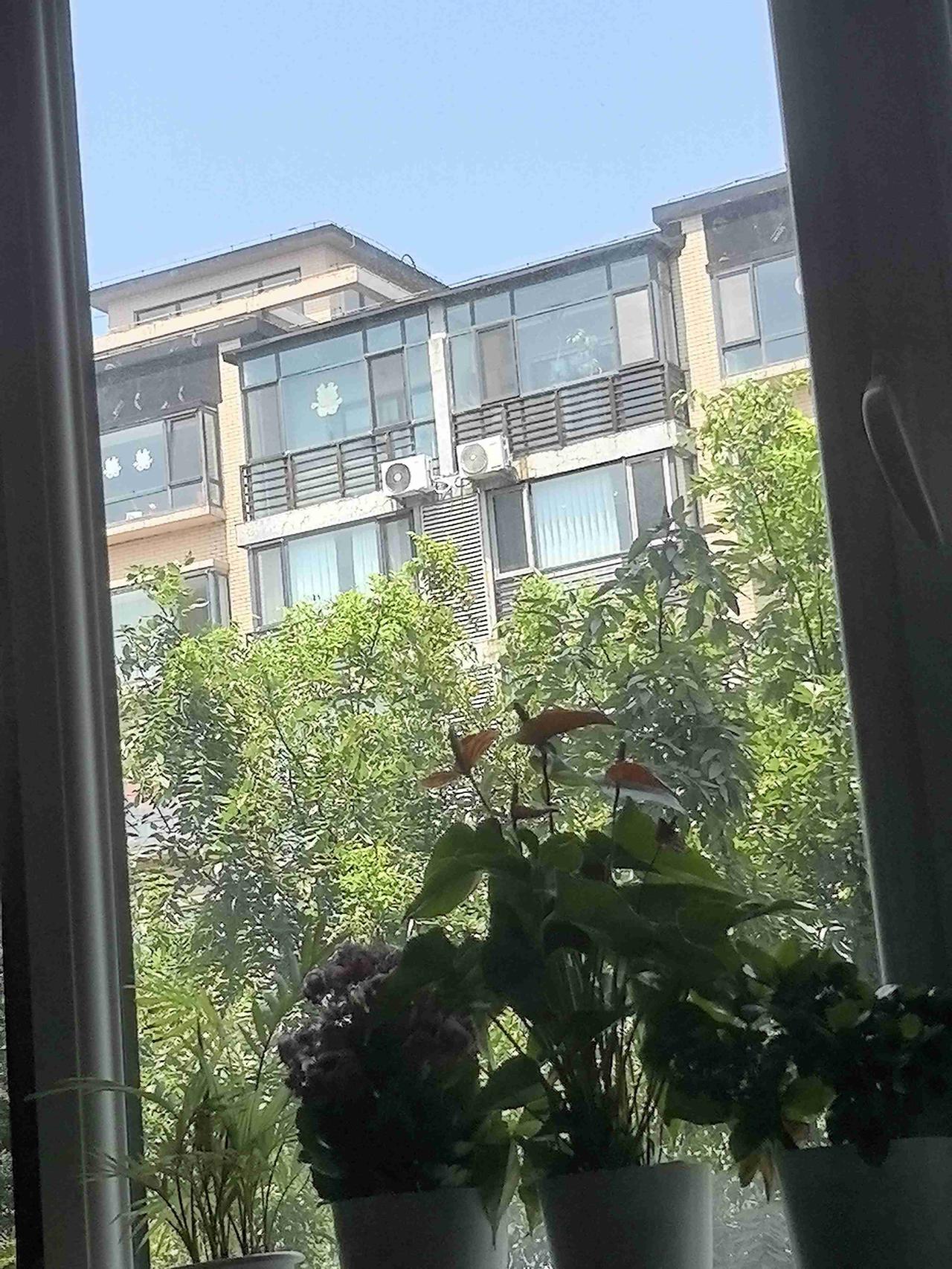 我的今日状态：😁轻松愉快
我这里的天气：☀️晴天