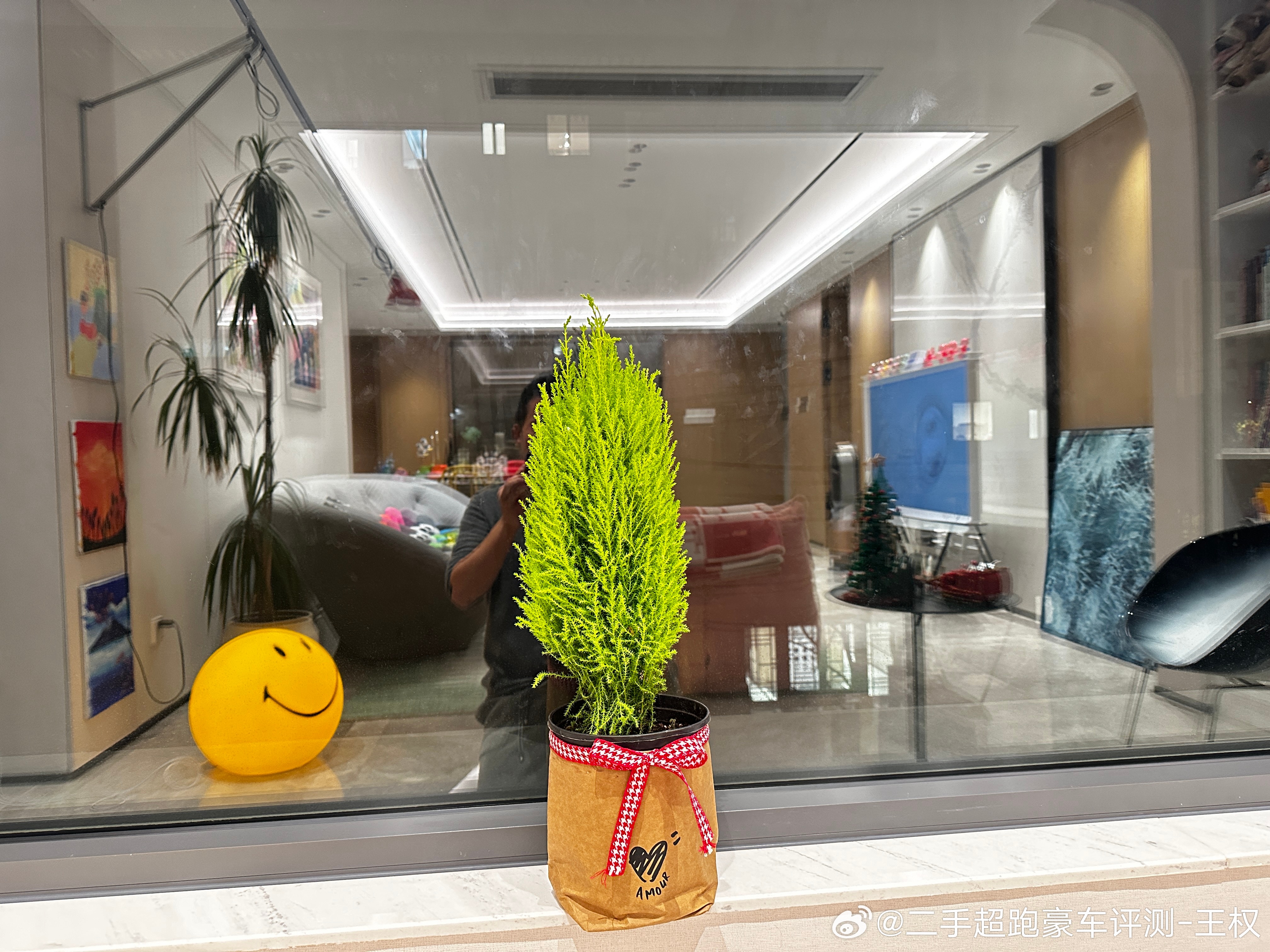 失策  买小了 🎄圣诞节前 它估计也长不高了[允悲] ​​​