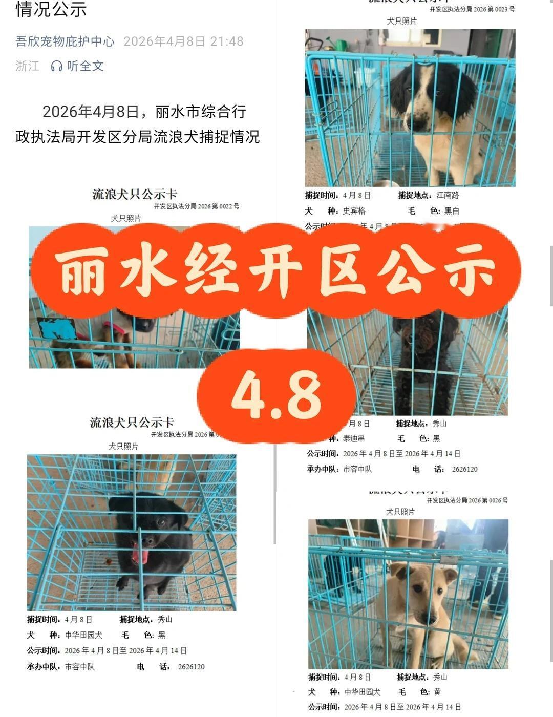 浙江省丽水经开区收容2026.4月8日犬只公示
丽水寻狗 寻狗
3只狗狗。抓捕地