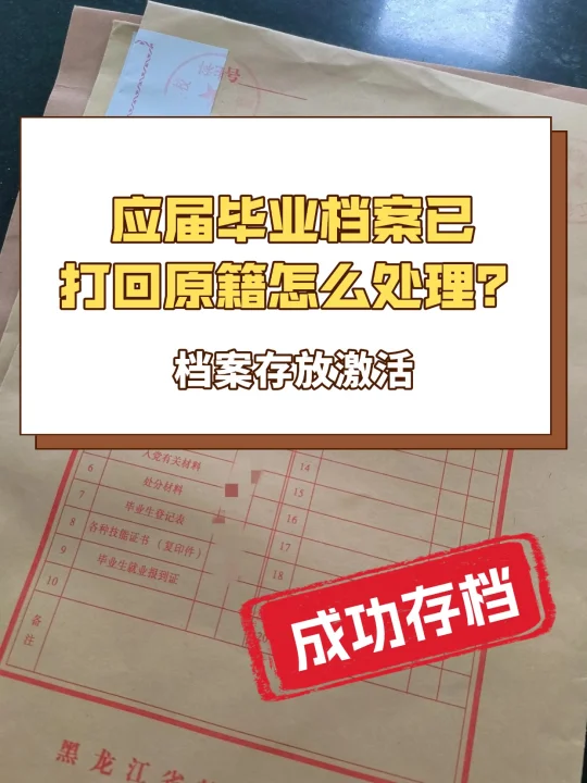 应届毕业档案已打回原籍怎么处理？🤔