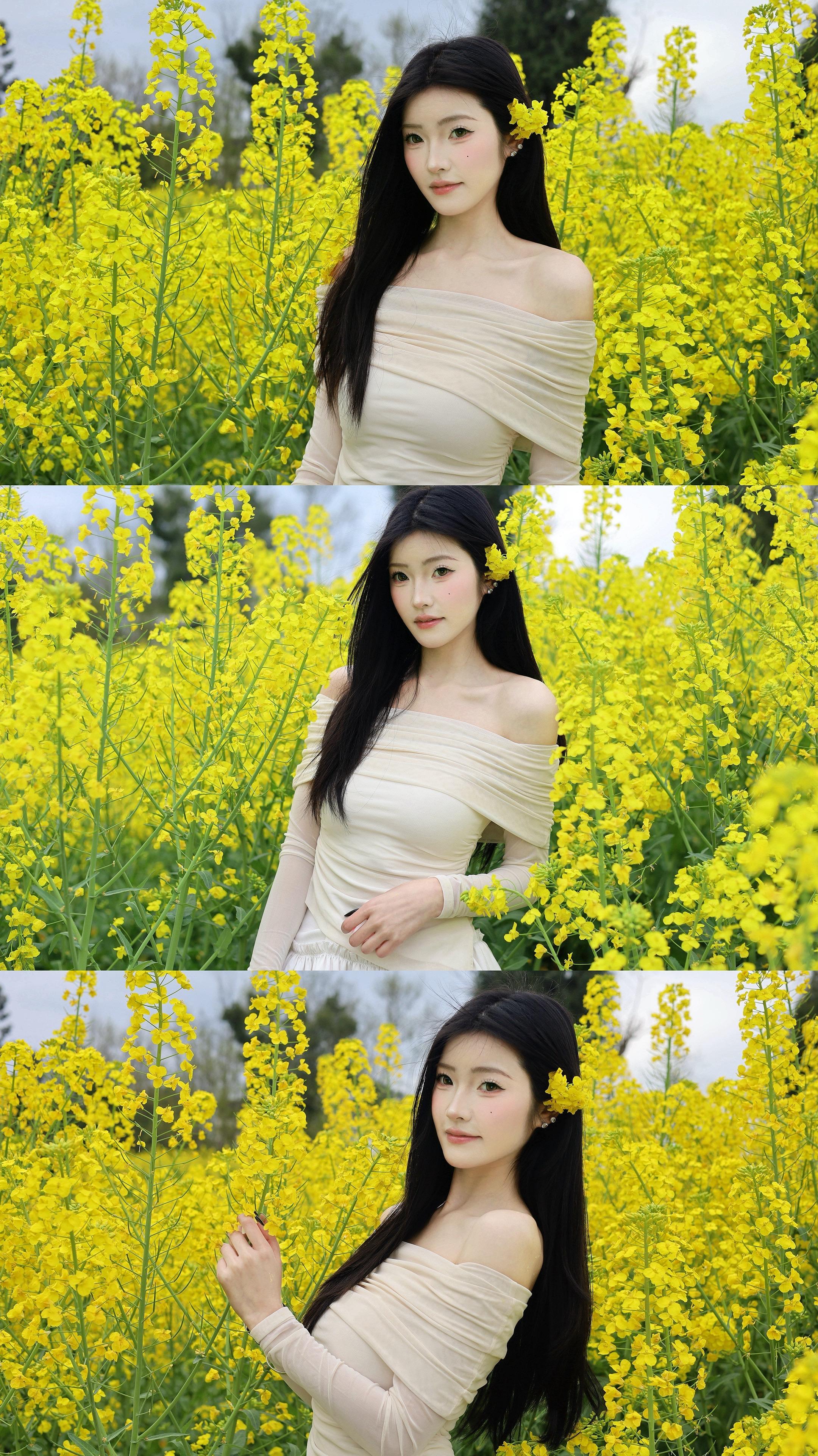 𝓡𝓪𝓹𝓮 𝓯𝓵𝓸𝔀𝓮𝓻🐾相约一场油菜花🌼