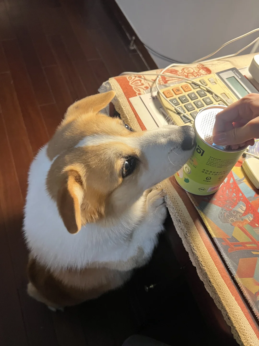 看到好吃的耳朵都快立起来了