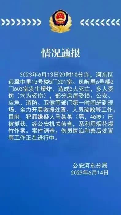  犯罪嫌疑人马某某已被抓获，据说此人系利用烟花爆竹作案，这是我第一次听说有人以这