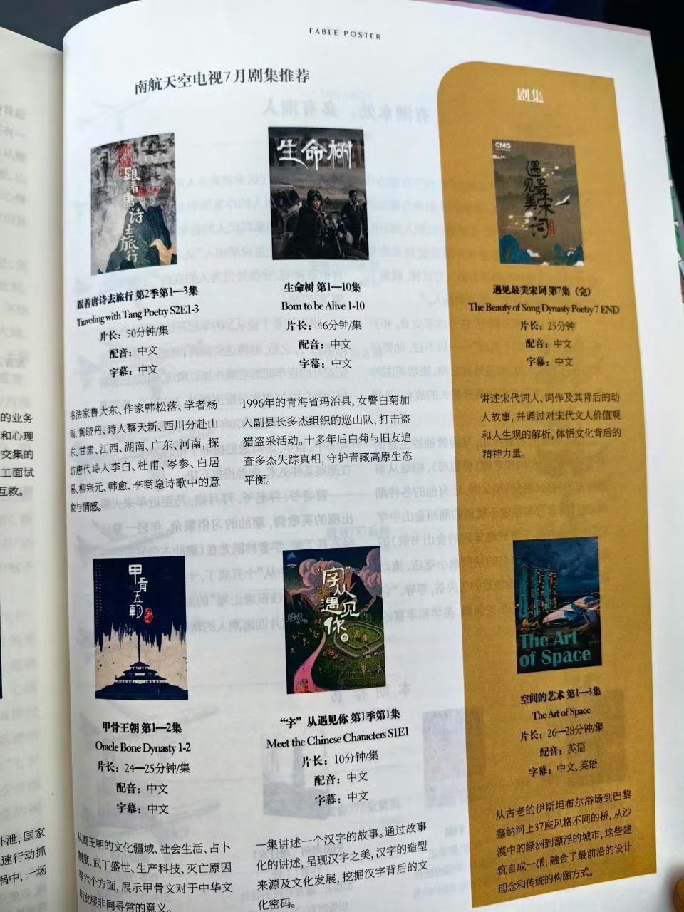 南航7月推荐剧集🈶生命树 