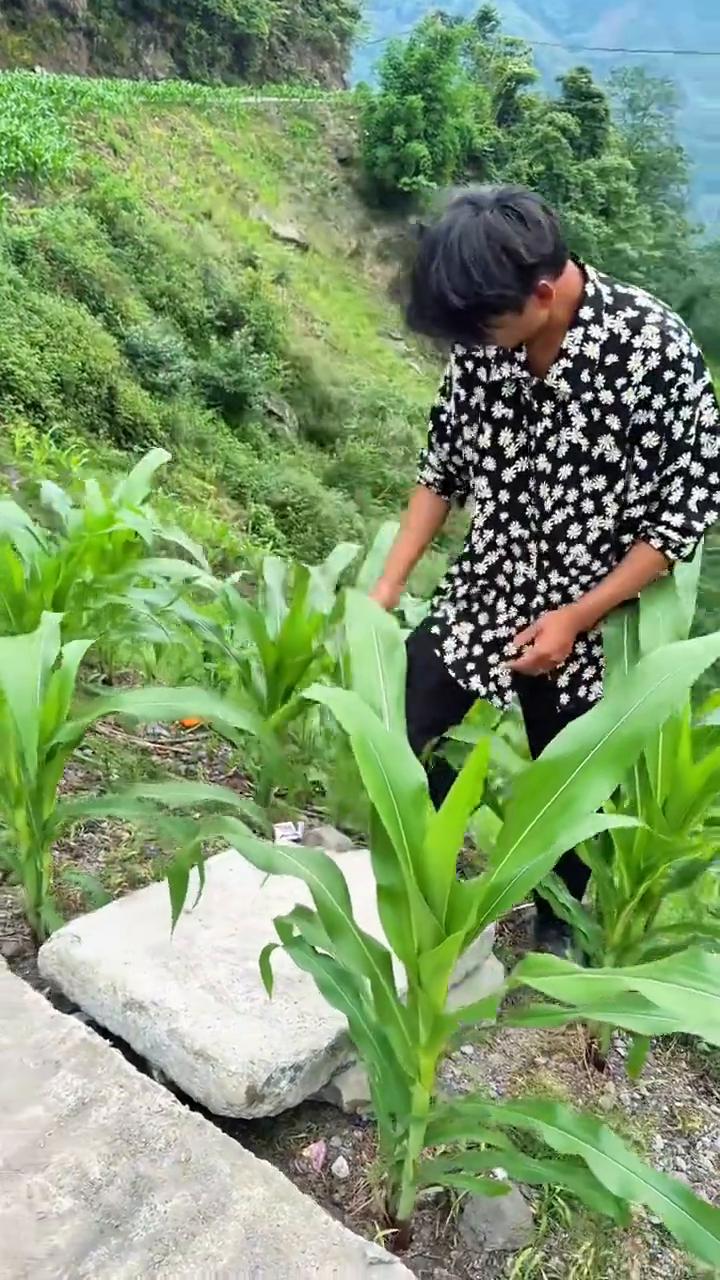 视频前的朋友们，你们觉得我这样做的对吗？如果觉得我做的对，大家一起支持一下我，我