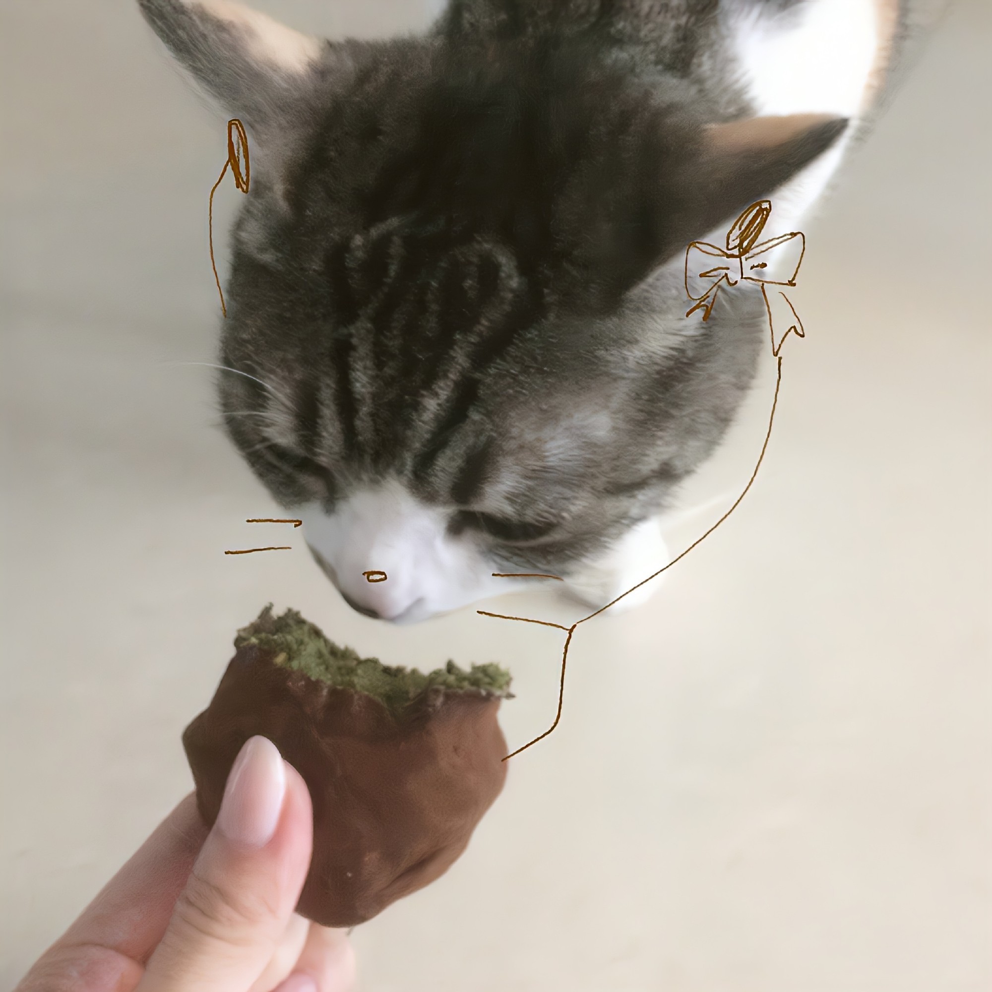 元元…… 
