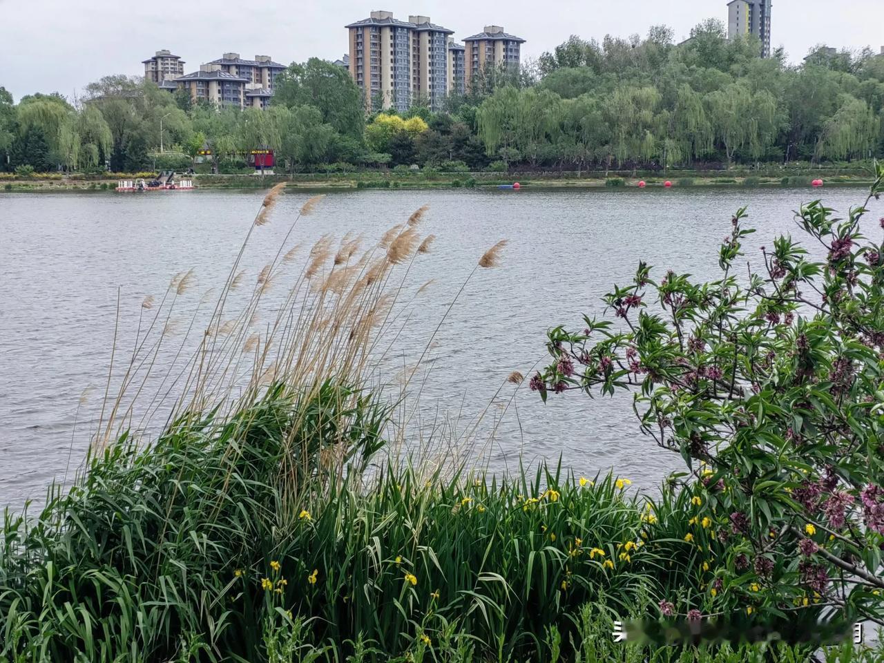 人生苦短，及时行乐

大伯子的同学，三十几岁开始做生意，成为一个不大不小的老板，