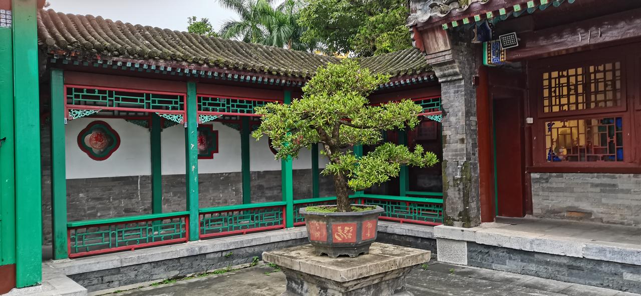 今天有粉丝和我说海油票现在还能买吗？
我说前天我就发微头条了，股价现在在高位，风