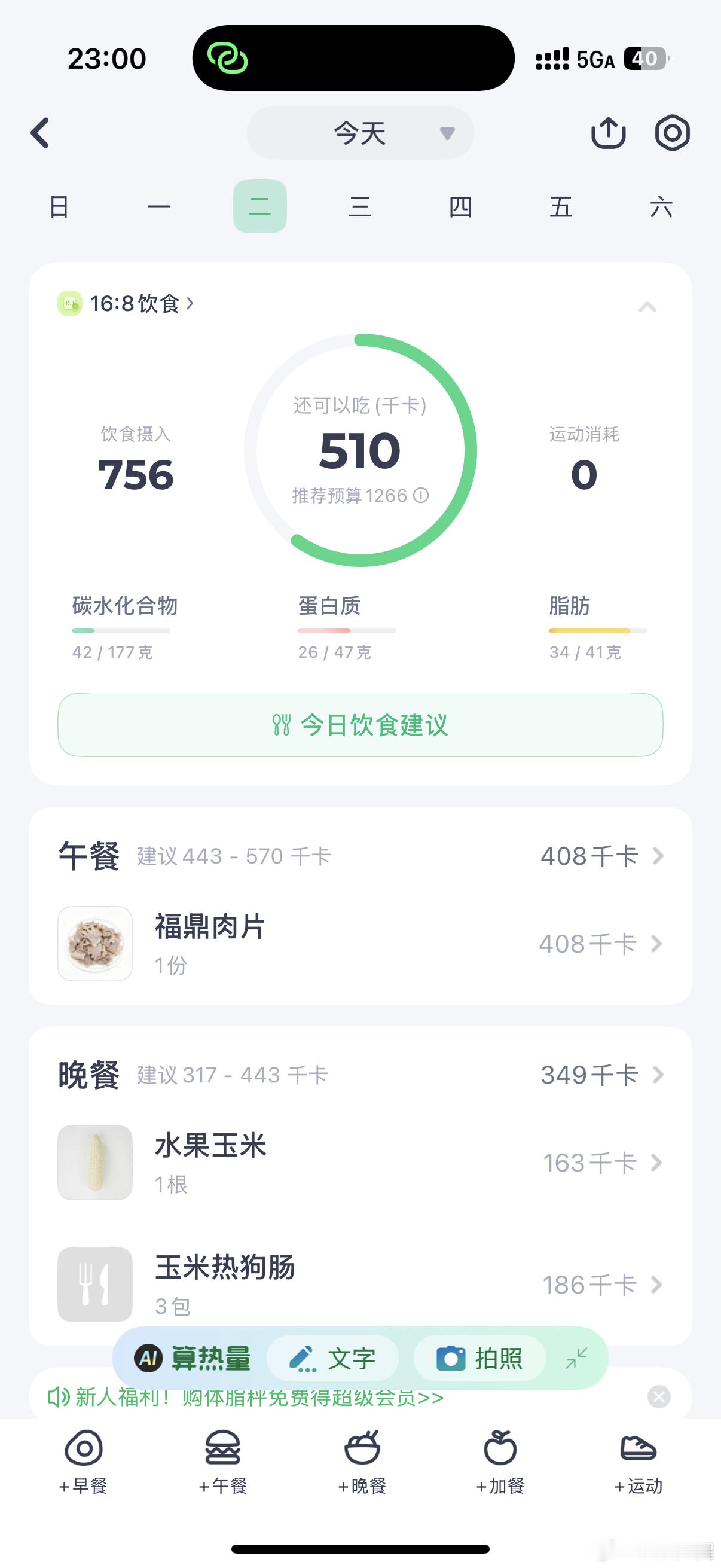 Day20睡昏了今天烦烦的减肥打卡日记