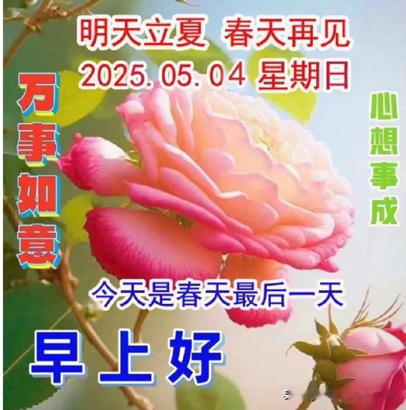 五四青年节来到，
多么熟悉的日子；
多么美好的时光，
多少往事的记忆；
转眼离我