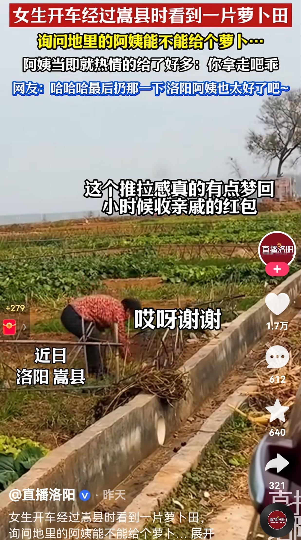 太热情了！近日，河南一女生开车路过嵩县是路过一片萝卜地，嘴馋了，想要吃根萝卜，于