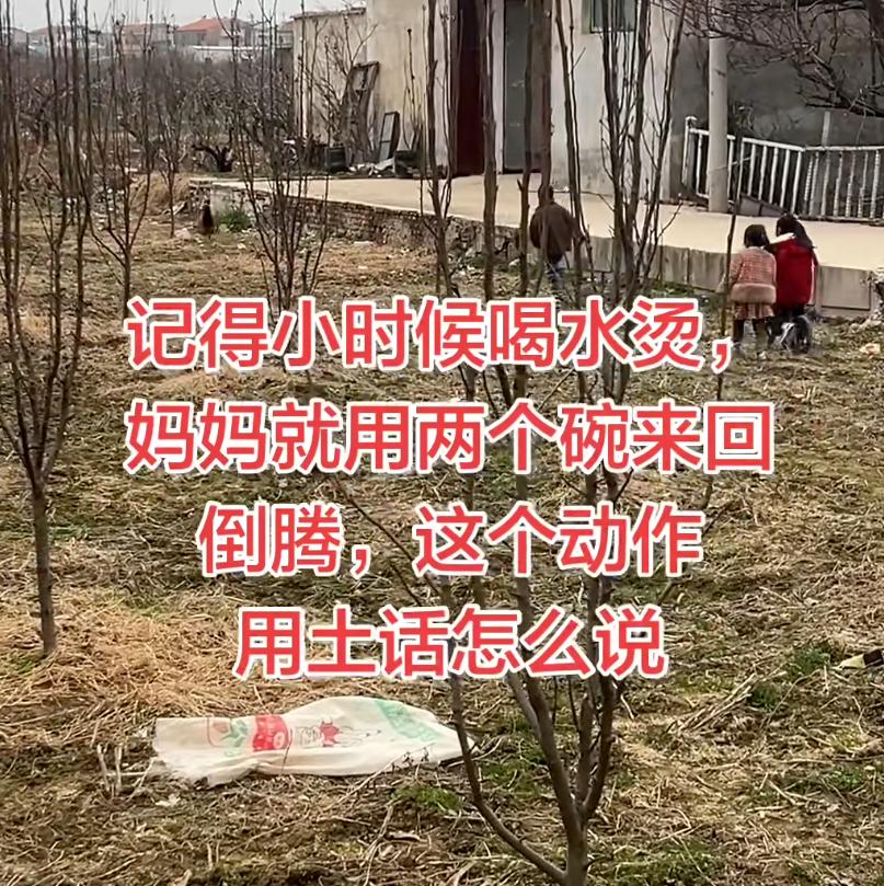 记得小时候喝水烫妈妈就用两个碗来回倒腾，这个动作用你们那边的土话怎么说的？