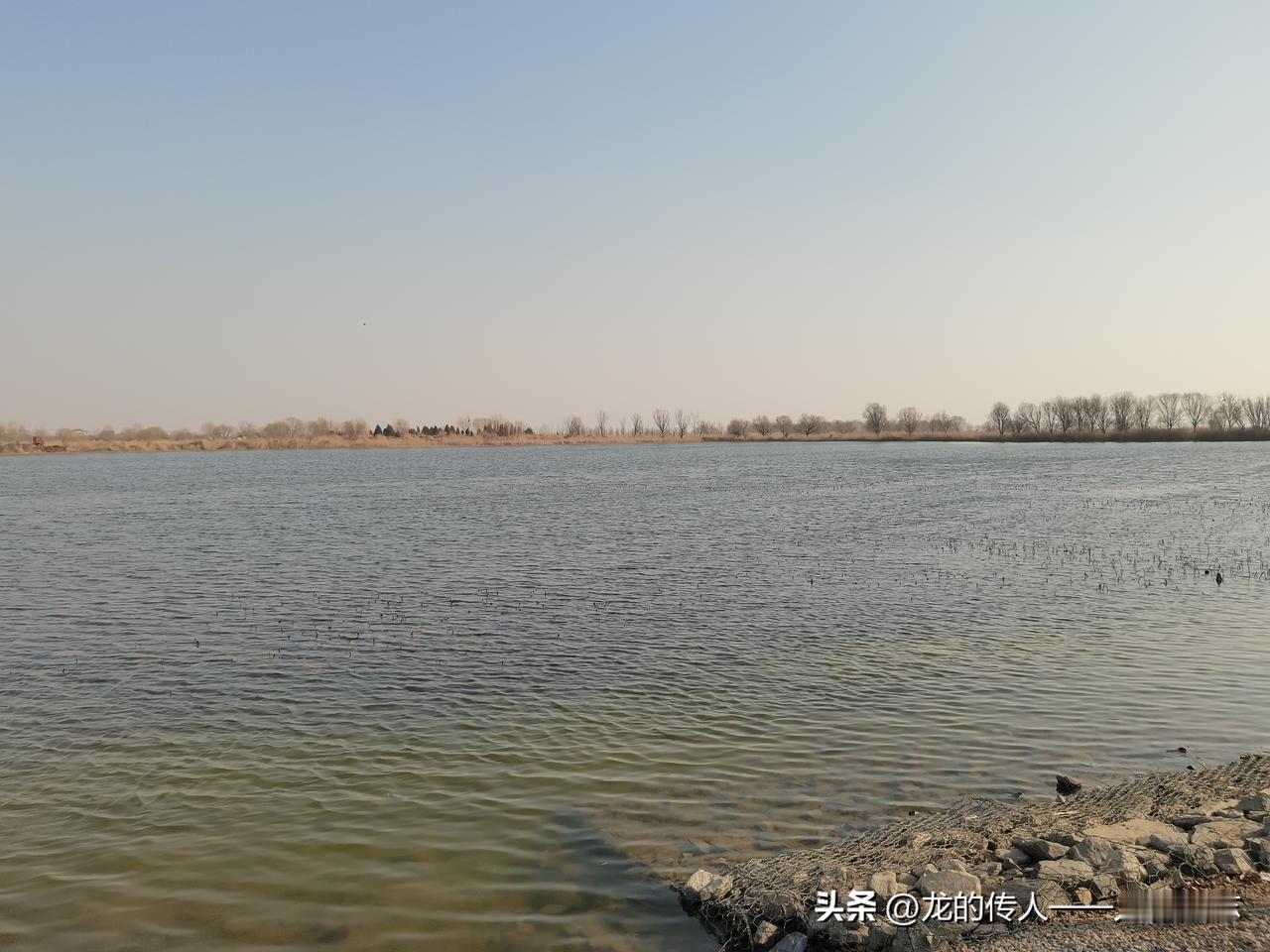 今年冬天的不同