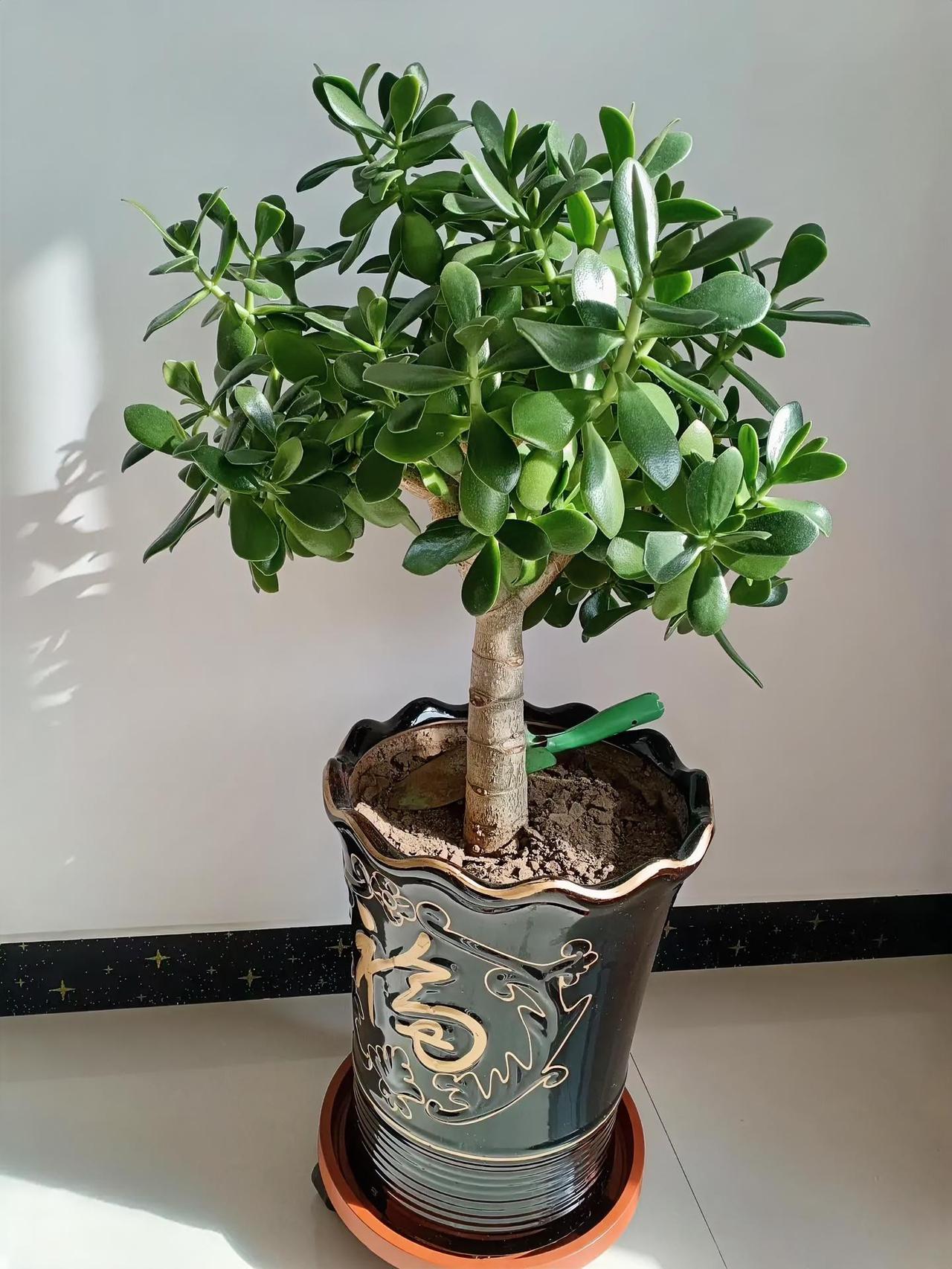 人这一辈子，必须有个好心情，才能事事顺心！

其实没那么复杂。少钻牛角尖，少跟自