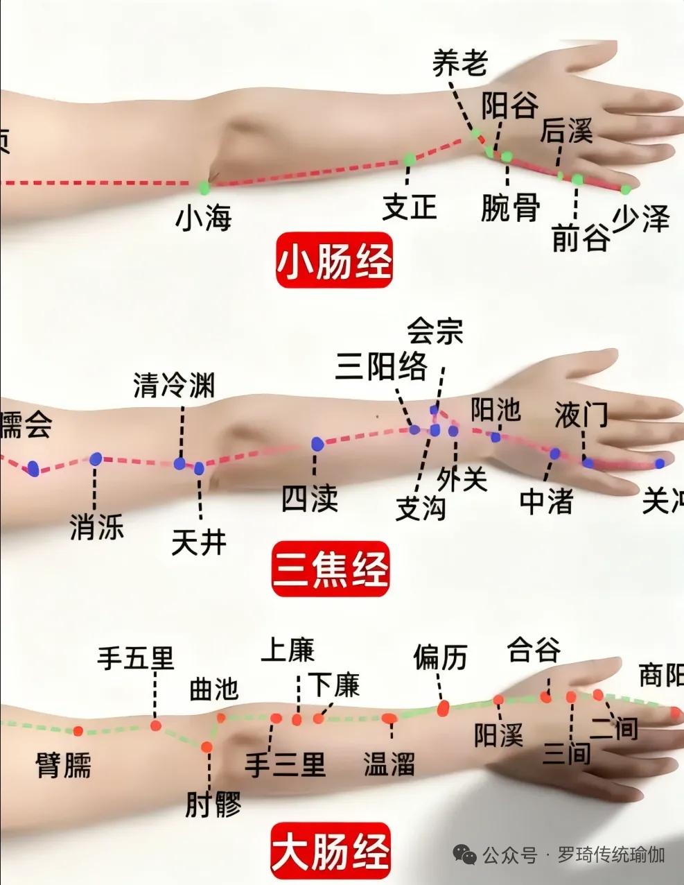 十二经络“最简速记法”！4句口诀背下来，经络走向、位置全在脑子里！




原创