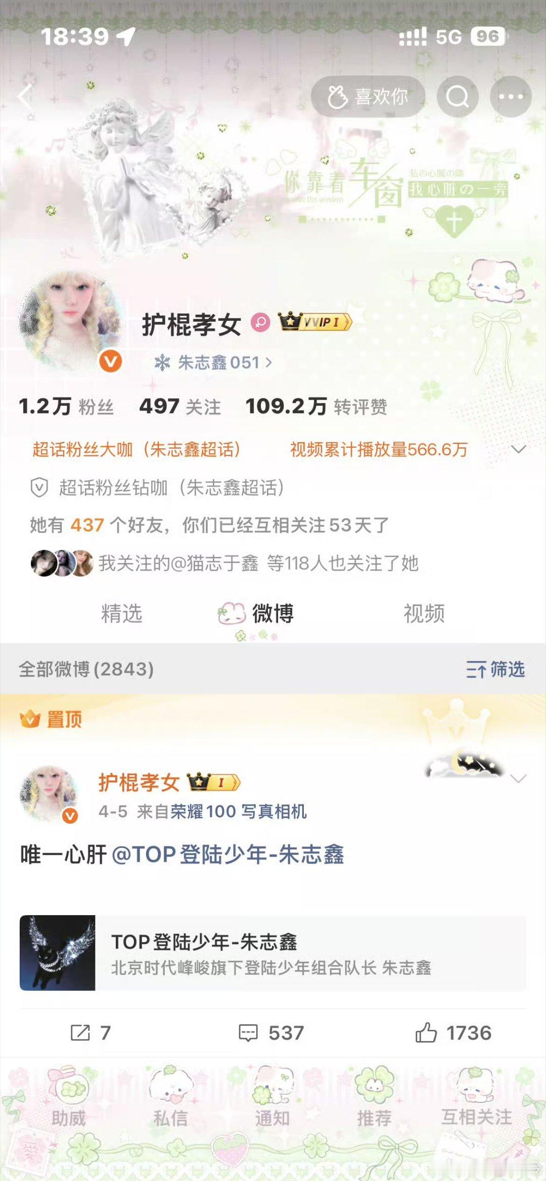 哪个好看 