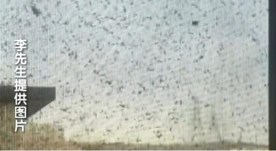 “太缺德了。”北京一男子花235万元买套房子，结果楼上邻居养了200多只鸽子，他