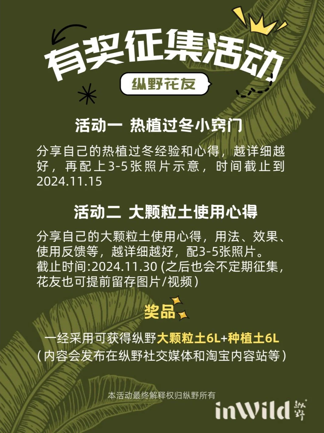 花友们一展身手的机会又到啦