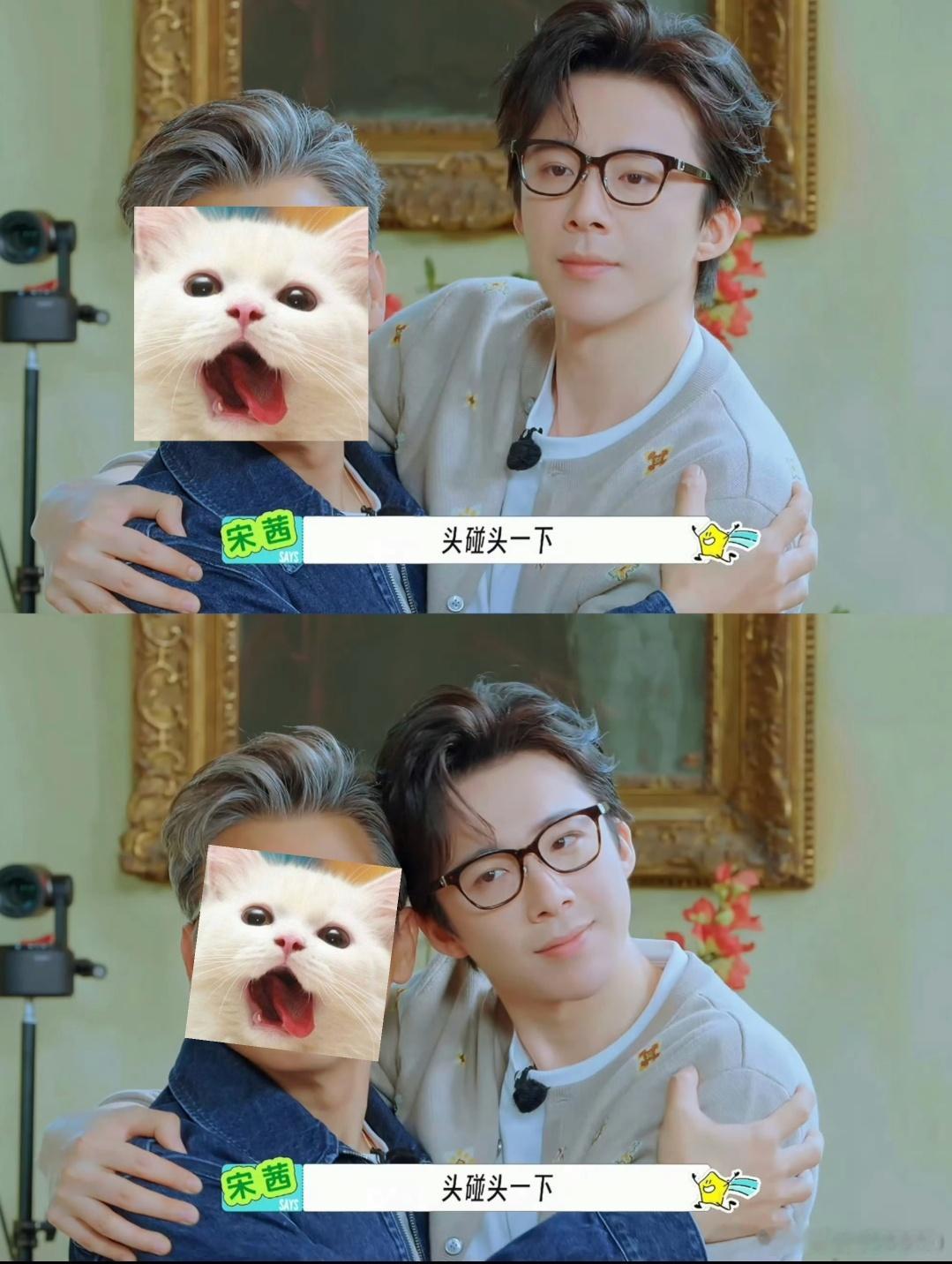 对不起冒犯了两位哥哥