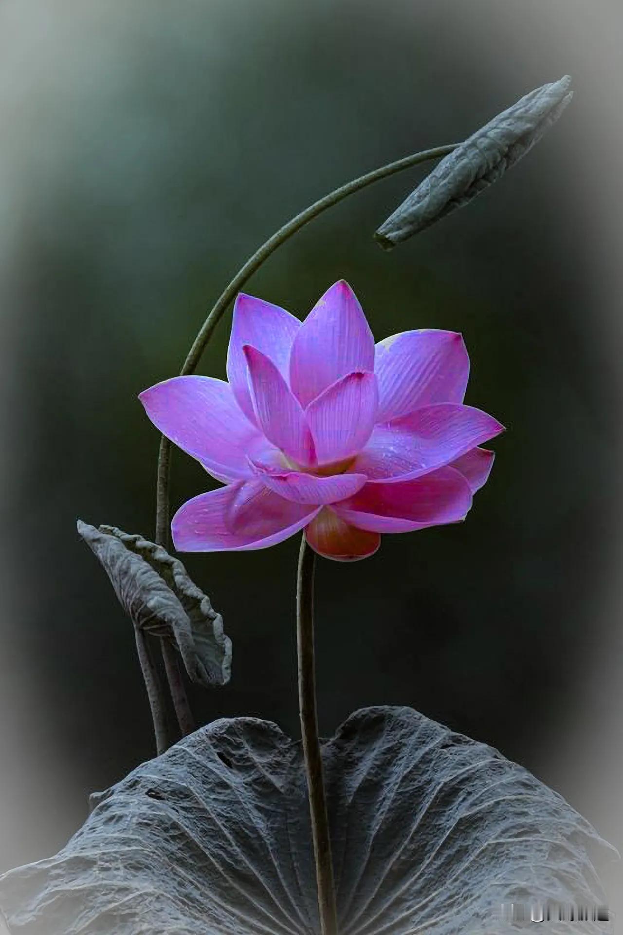 人一旦到了六七十岁，应该明白这个道理。
人一旦到了六十岁，就是临期了，到了七十岁