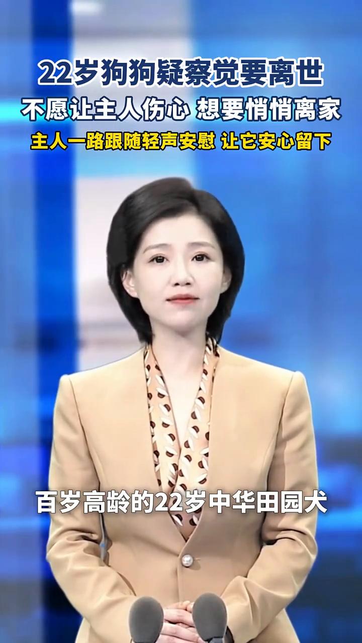 二十二岁狗狗已察觉要离世，悄悄离家。
江西一只相当于人类百岁高龄的二十二岁中华田