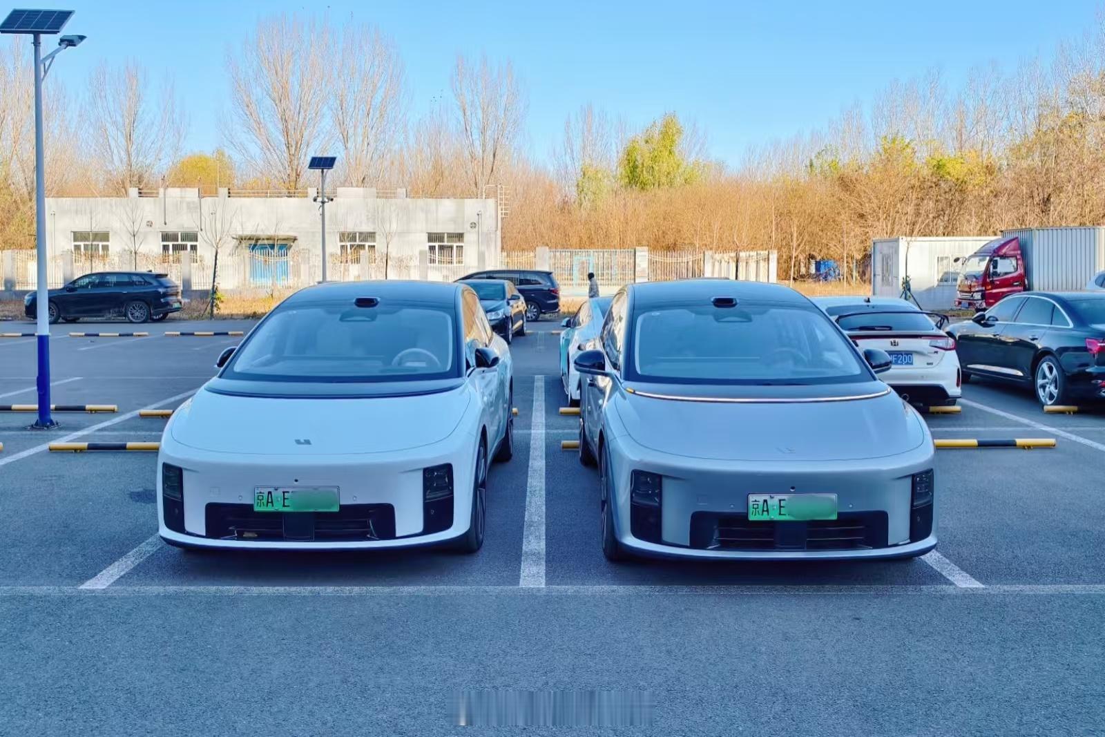 听说这玩意儿野生的不太常见，遇到赶紧合个影