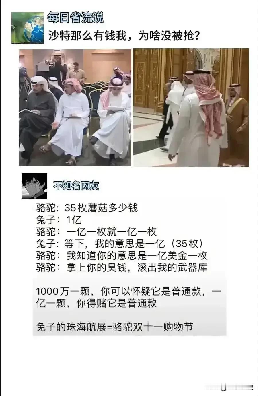 沙特那么有钱，为啥没被抢？