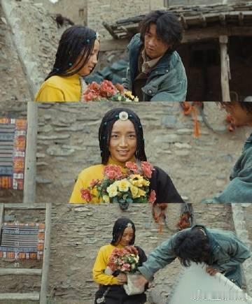 高原缺氧但不缺纯爱电视剧生命树 贺清源的文字如同高原星夜，闪烁着无限的温暖与爱情