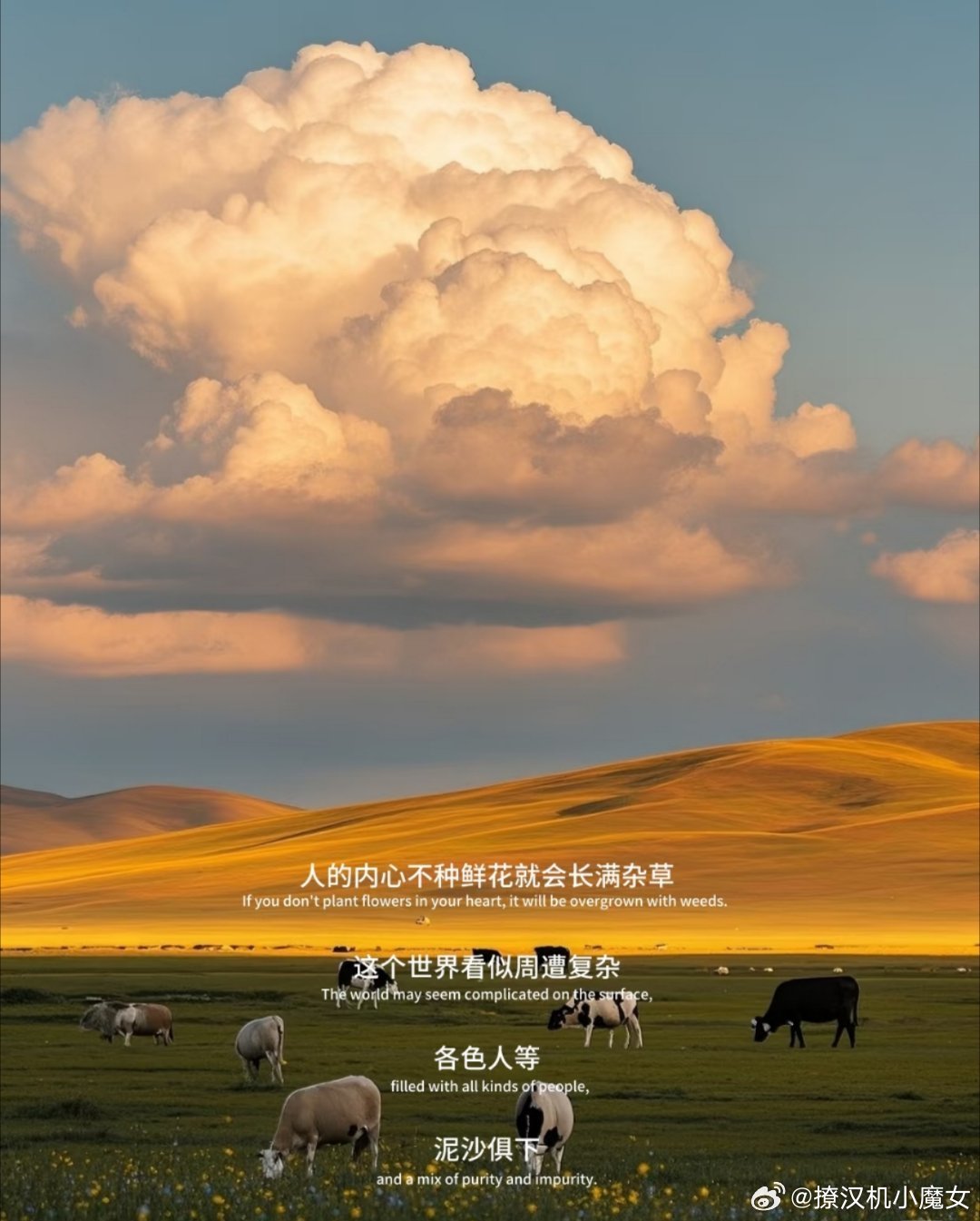 这世界对思考者太苛刻了。于朦胧离开了，他的好友华晨宇（INTP）发了一支蜡烛，被