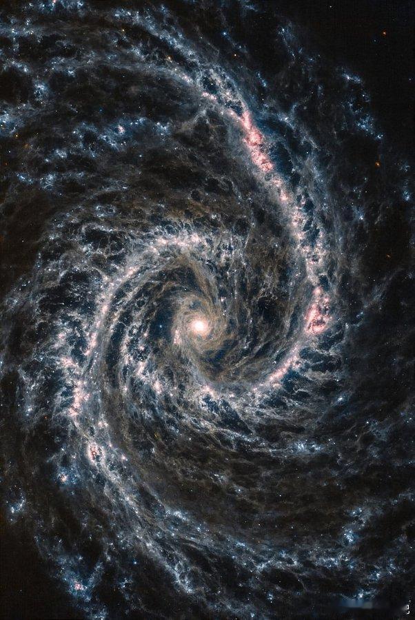 来自JWST MIRI的尘埃螺旋星系NGC 1566的惊人景观想象一个由尘埃和气