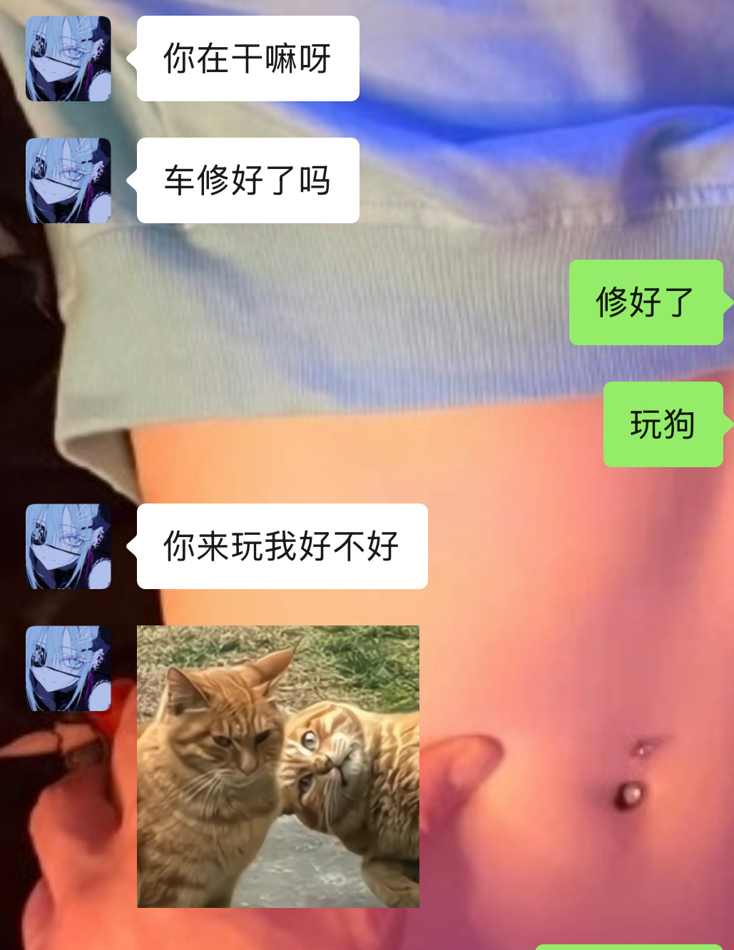 我真的喜欢小狗。 完全没有抵抗力。 